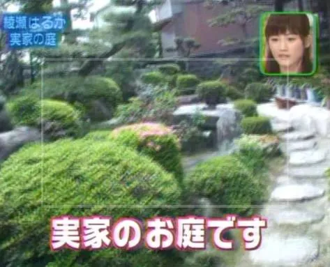 綾瀬はるかさんの実家は金持ち?写真?父の職業クリナップ?